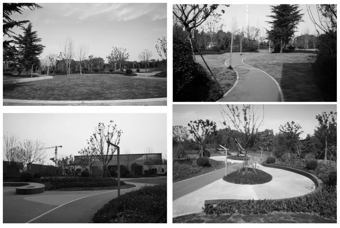 金隅金玉府唐山绿化,青岛即墨金隅金玉府怎么样