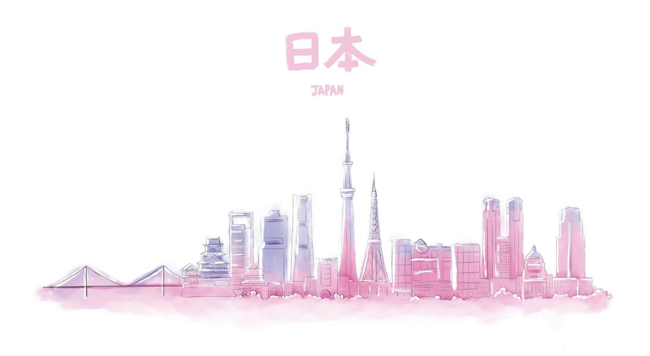 日本电商强大的原因有哪些,日本电商市场现在怎样