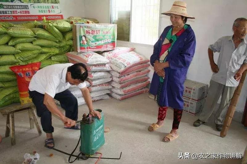 拍脑袋做决定顺口溜,拍脑袋做事啥意思