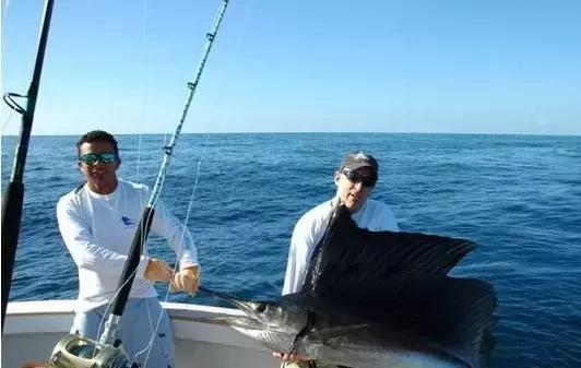 帕劳旅游攻略自由行路线推荐,帕劳旅游攻略全过程