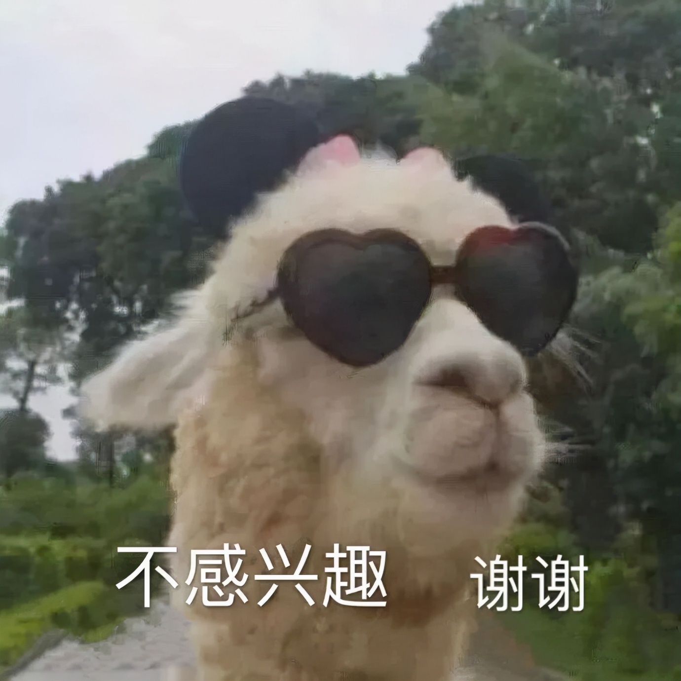 2022涓噾鏍℃嫑瑙嗛,2022涓噾鍏徃鏍℃嫑