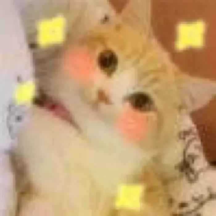 4款不输大牌的平价包包潮爆了,背大牌款式的包