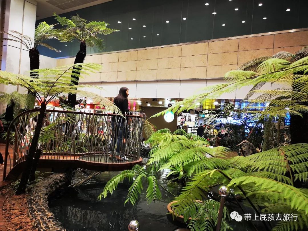 无旅行不暑假亲子游胜地新加坡,新加坡马来西亚亲子游春节