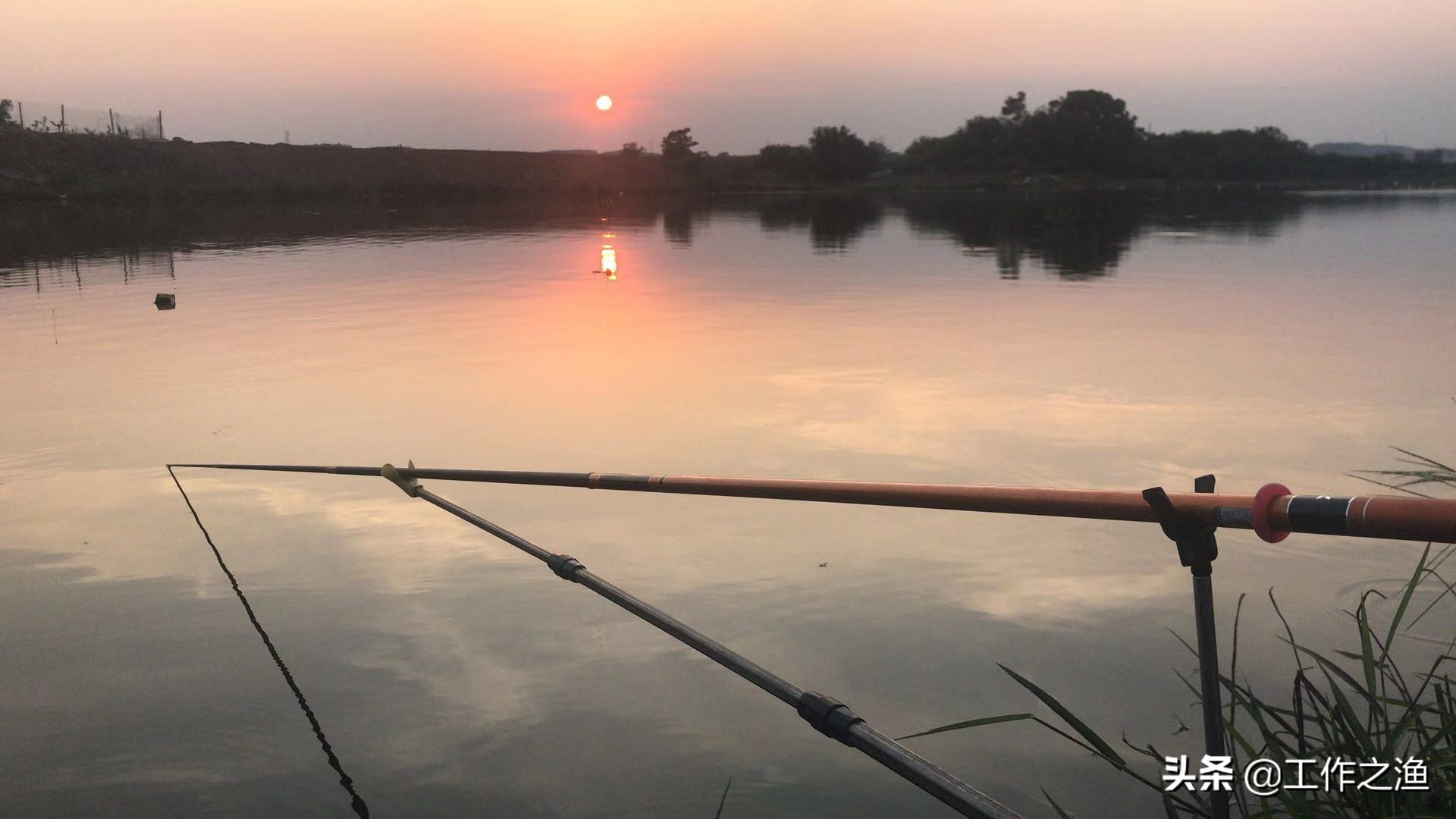 新手钓友如何正确理解鱼竿,新手钓鱼用哪几款鱼竿最好