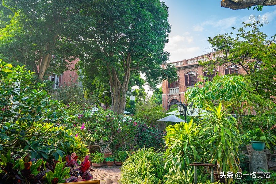 鼓浪屿吃喝,鼓浪屿在哪吃不被坑