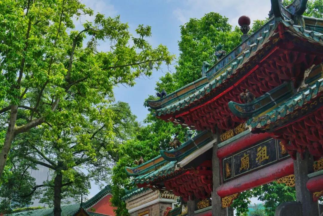 白兰花家庭盆栽,白兰花怎么养才能开花多