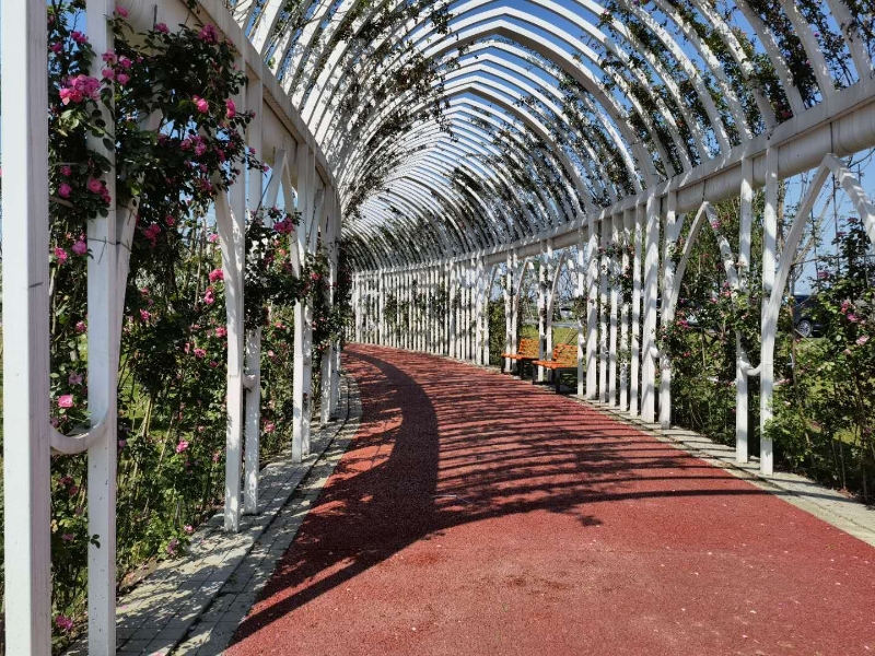 双流空港花田看飞机降落最佳地点,双流空港花田最佳位置看飞机