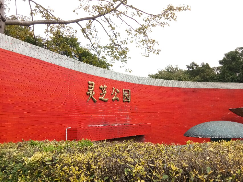 深圳宝安区灵芝公园航拍,宝安灵芝公园