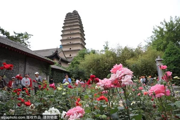 12月机票特价便宜,11月低价机票飞石家庄