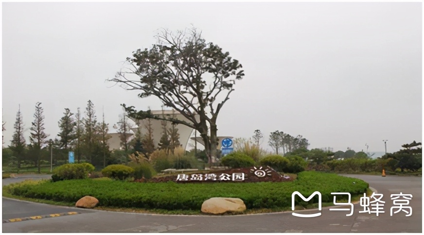 冬日青岛周边自驾推荐,青岛周边自驾游4-5天最佳路线