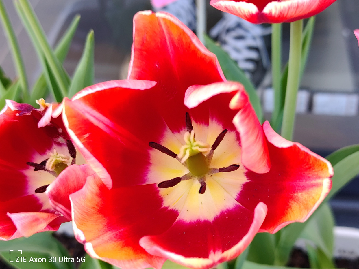 中兴axon30ultra航天版拍照评测,中兴axon30ultra对比努比亚nubiaz30pro