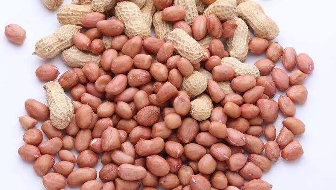 婊嬭ˉ鑲濊偩鐩婄簿濉珦鍏昏娑︾嚗,婊嬭ˉ鑲濊偩鍏昏娑︾嚗