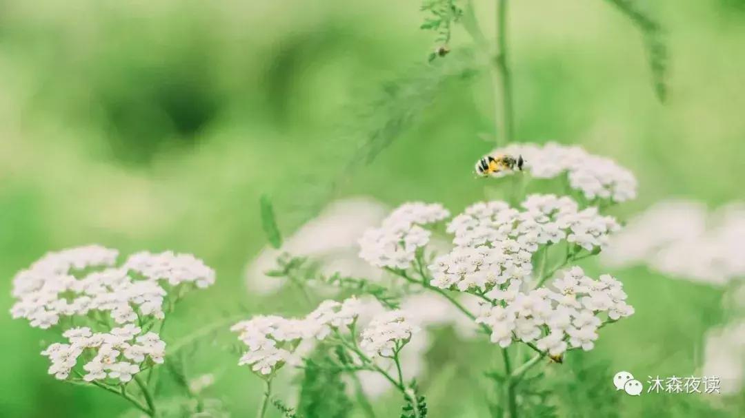 怎么才能知道男生喜不喜欢自己,如何知道ta喜不喜欢你