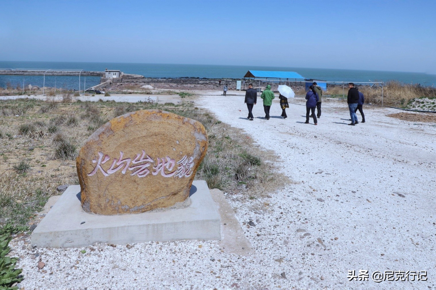 龙口的桑岛是活火山吗,龙口最大岛屿