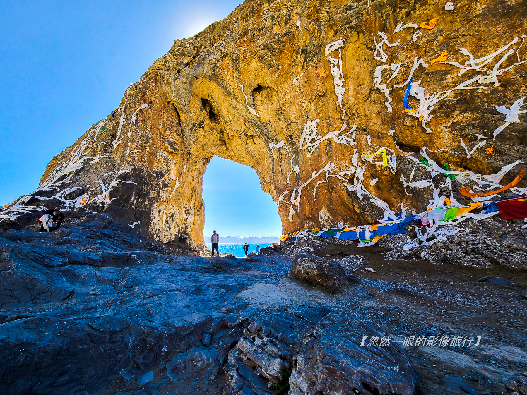 阿里无人区野狼出没,阿里无人区狐狸