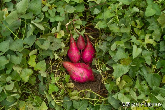 有一个一脚踏三省的县城,一脚踏三省的一个小镇