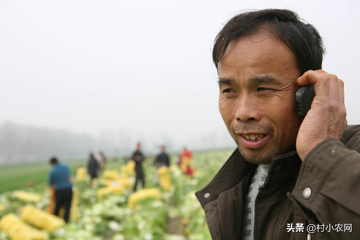 新农村创业适合做的几个生意项目,乡镇致富门路500条免费阅读