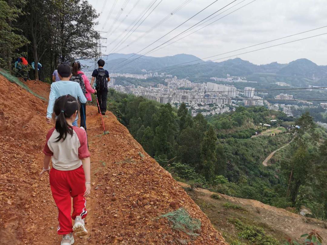 从城市到山林,从城市到田野