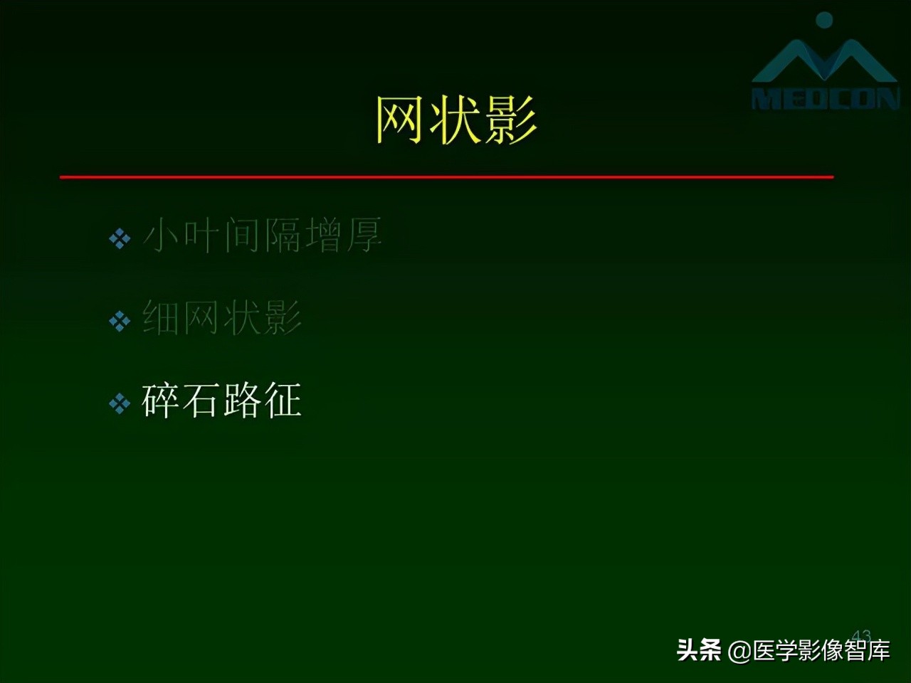 肺弥漫性网状影,两肺小叶间隔增厚可见网状模糊影