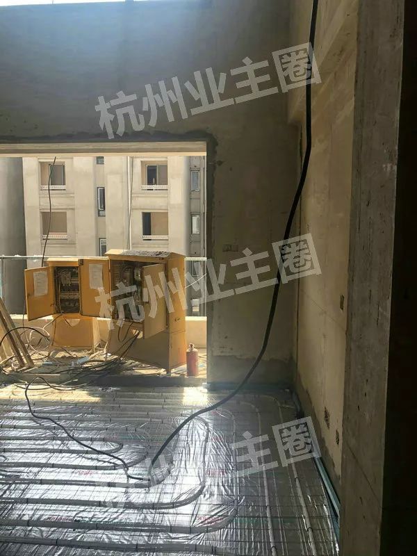 绿都什么意思,绿都包括哪些绿