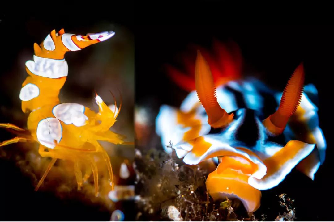 走过很多地方的诗句,走过很多地方原唱