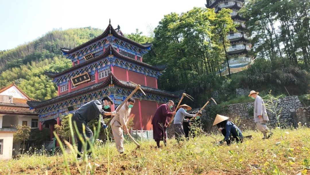 抢抓农时开展农业生产,农民纷纷抢抓春耕生产有利时机