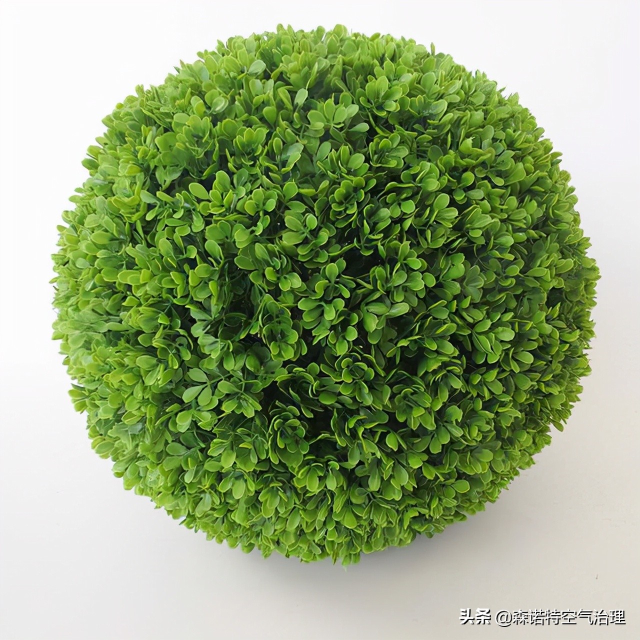 车内甲醛怎么去除最有效方法,去除乳胶床垫甲醛最有效的方法