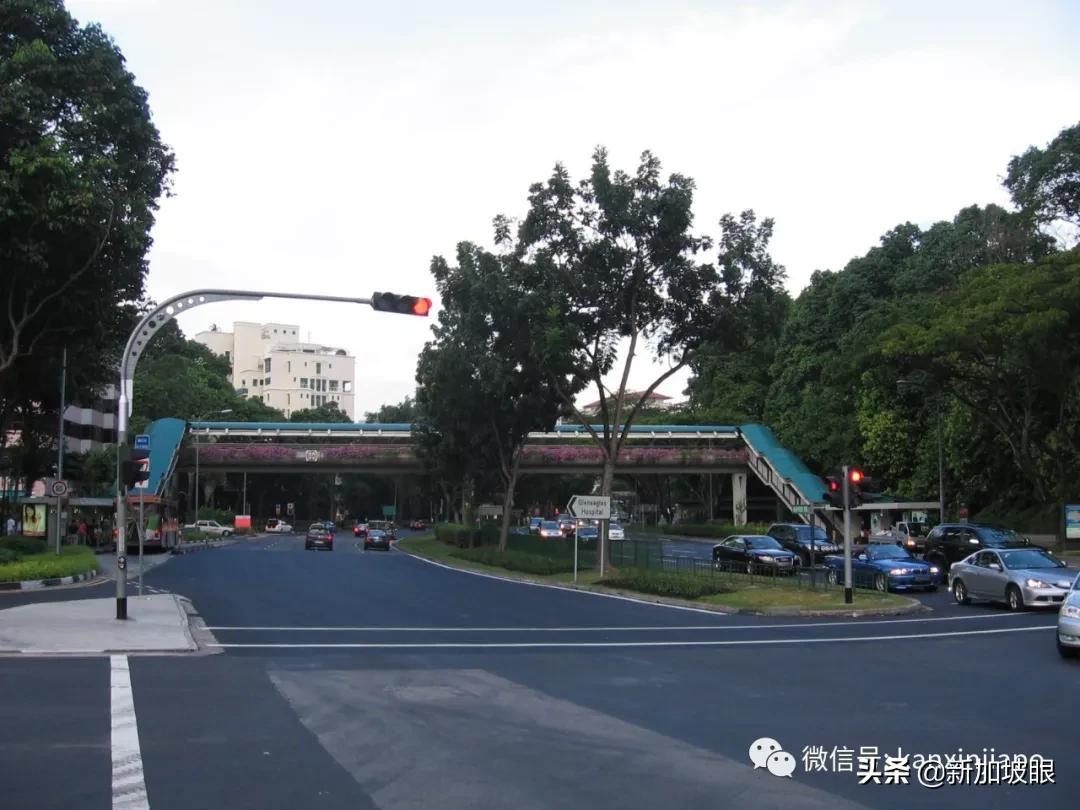 到了新加坡要注意什么,在新加坡要注意的禁忌