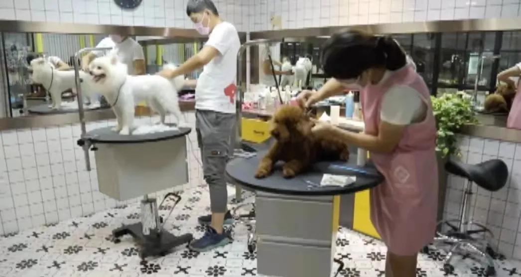 宠物生活馆盘点,北京人气宠物乐园推荐