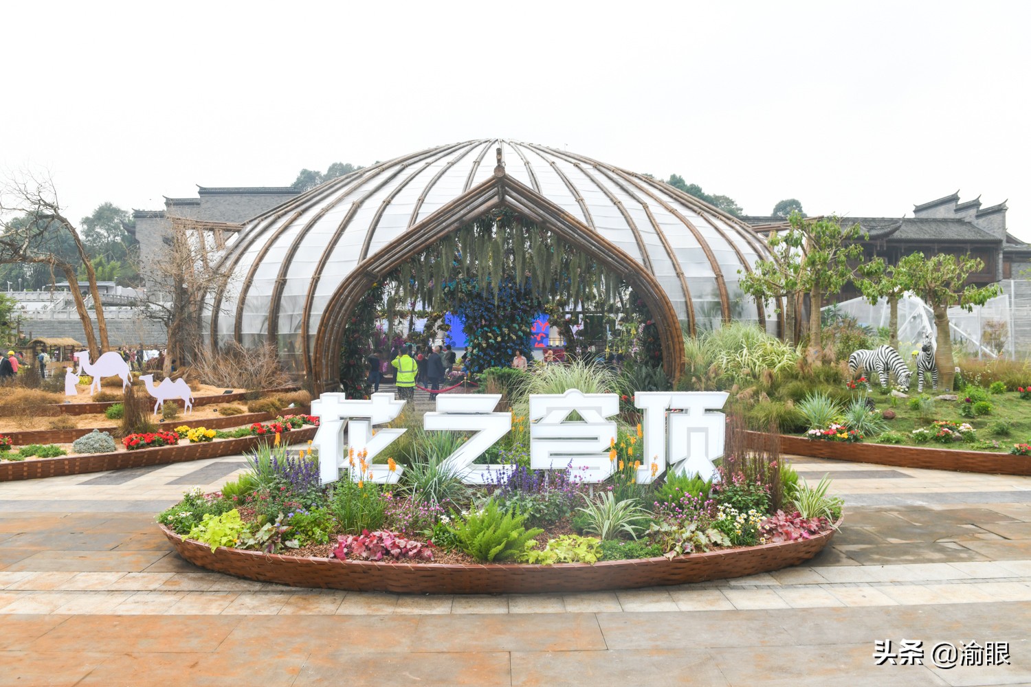 重庆第三届花博会预约门票,重庆城市花博会可以预约多少人