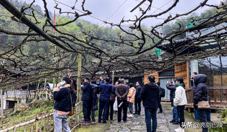 湖南省美丽乡村怀化名单,湖南怀化新晃最美乡村