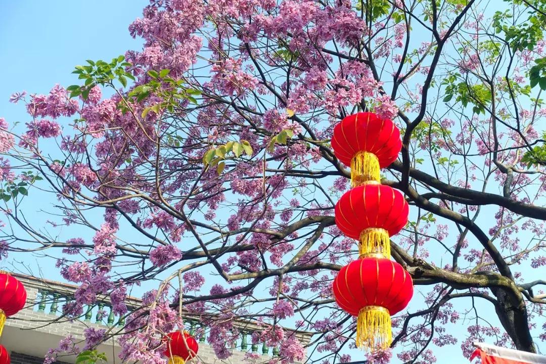 小年来啦，你家年货备齐了吗？小番走进番禺各大市场，收获满满的幸福……