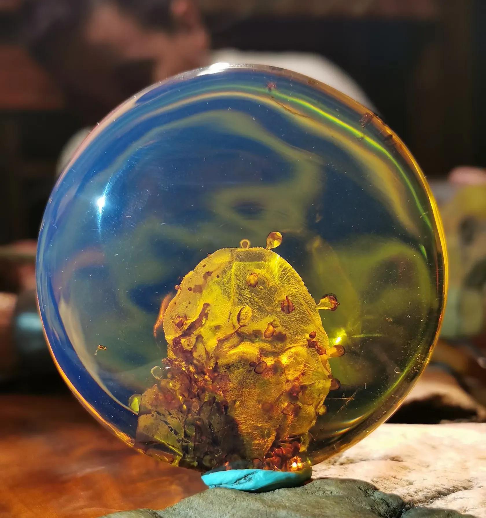 缅甸水胆琥珀收藏价值,缅甸琥珀根珀价格收藏价值