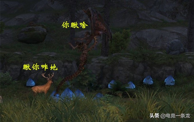 《明日之后》“光明大陆”入营条件曝光,玩家的肝在颤抖!