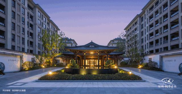 没忍住,还是再次来看了桃李春风