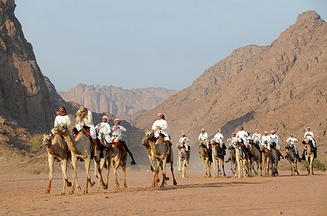沙特阿拉伯有什么待遇,沙特王室每位成员待遇