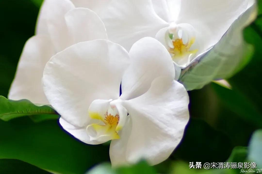 令人振奋的宾得HDPENTAXDFA*85mmF/1.4EDSDMAW