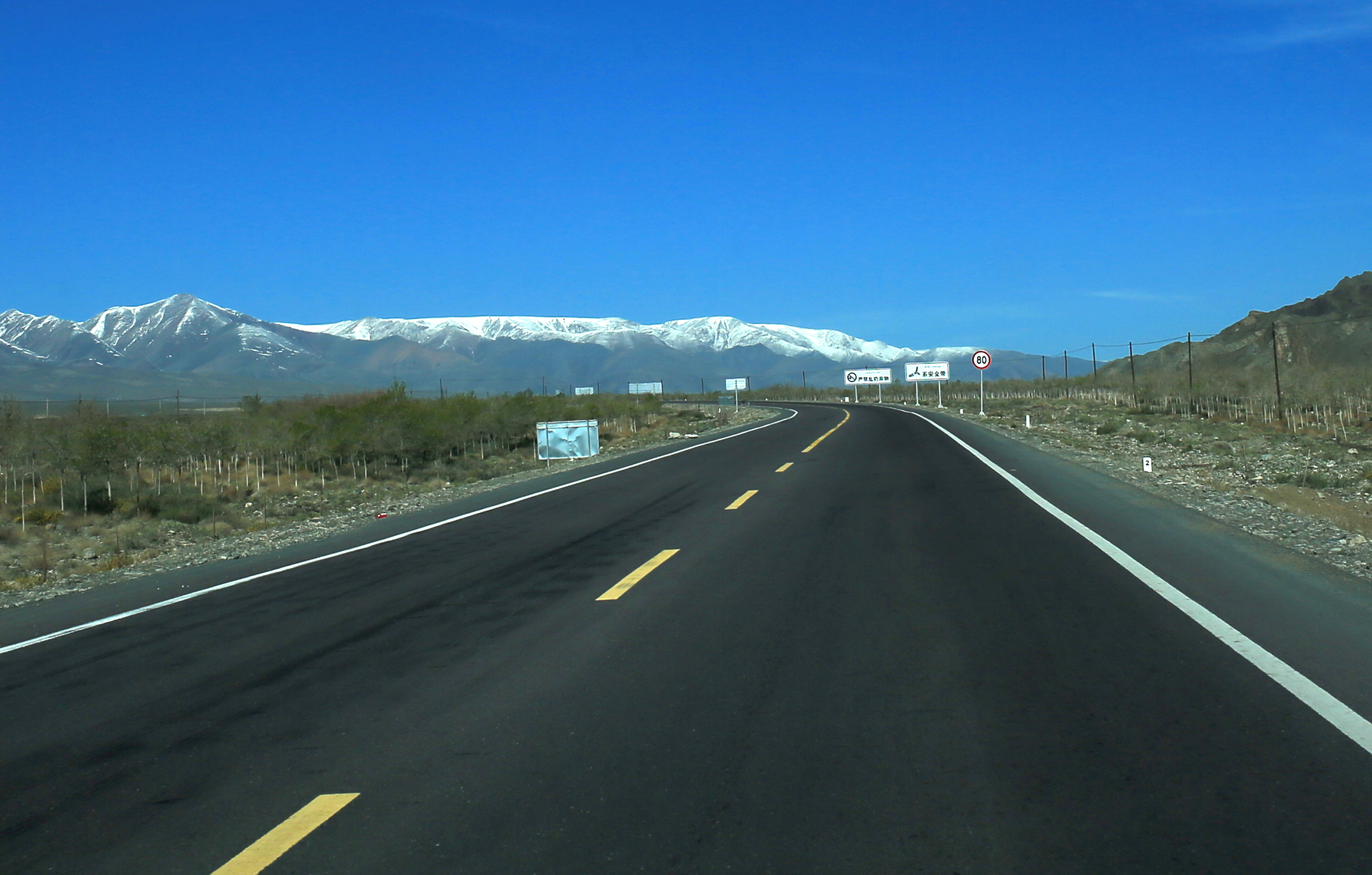 寂寞、单调的援疆生活，被她过成了诗和远方，心中有爱，红梅花开