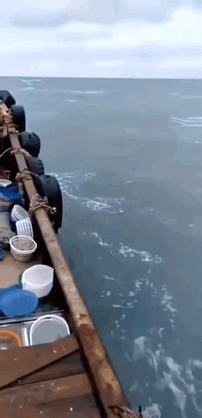 皮皮虾什么季节吃最好吃,吃货们吃皮皮虾的季节到了