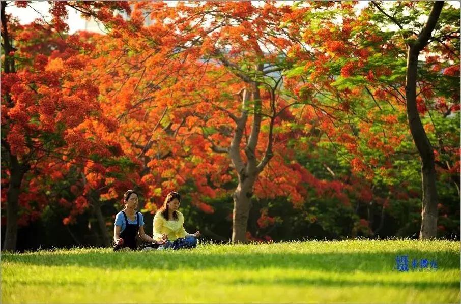 开远有多远,开远是哪