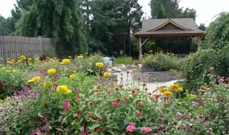 鍥壓鐤楁硶浠嬬粛,鍥壓鐤楁硶鐨勫垱鏂板強鐗圭偣