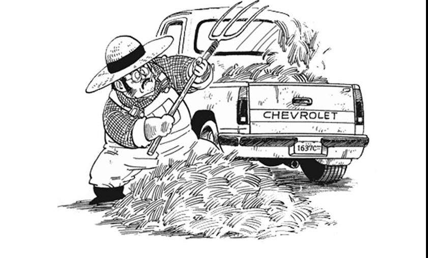 龙珠纯色背景,龙珠背景底图