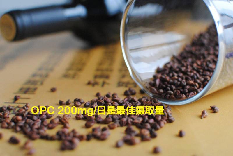 葡萄籽胶原蛋白淡斑,平价美白葡萄籽