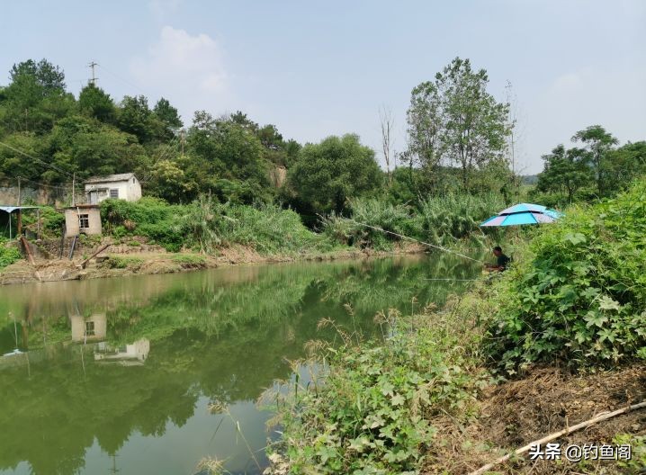 鱼钩单钩与双钩哪个中鱼率高,野钓双钩几号钩好用