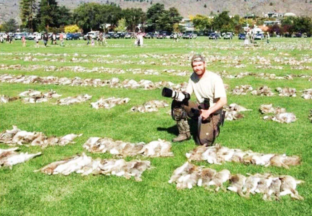 人兔大战：澳大利亚被约100亿只兔子折腾疯了，最后派出轰炸机