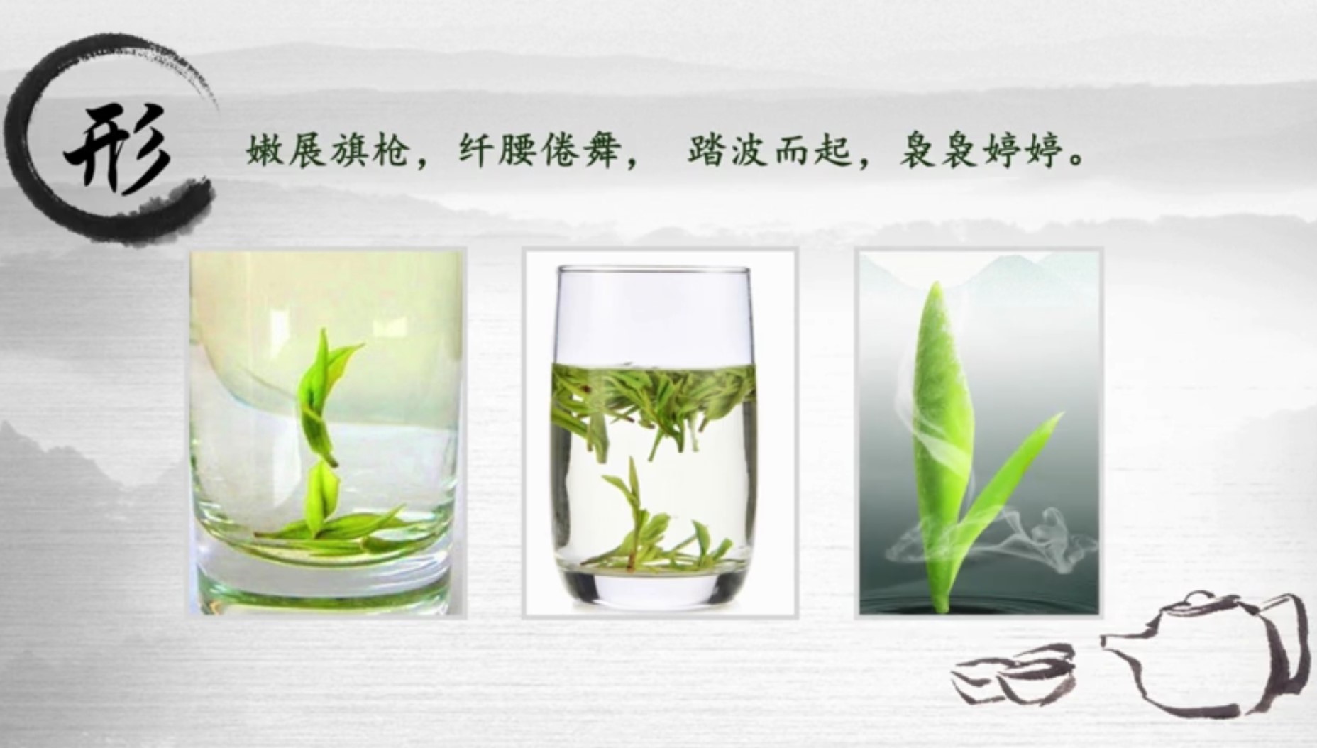 茶叶的外形鉴赏,茶叶的鉴赏