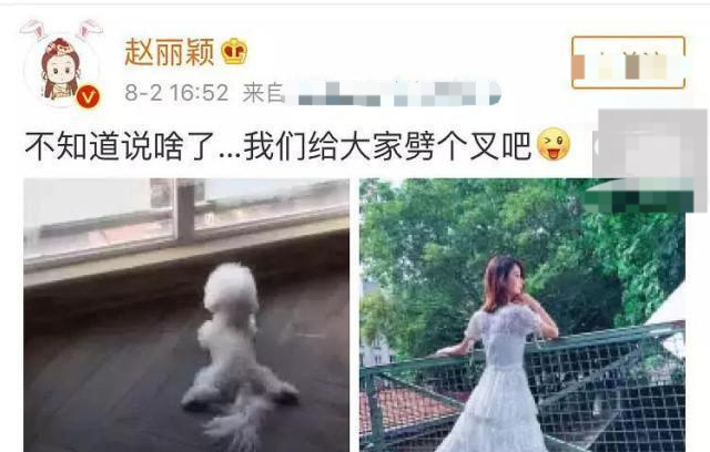 杨幂晒漫画腰惹非议,杨幂被传怀二胎