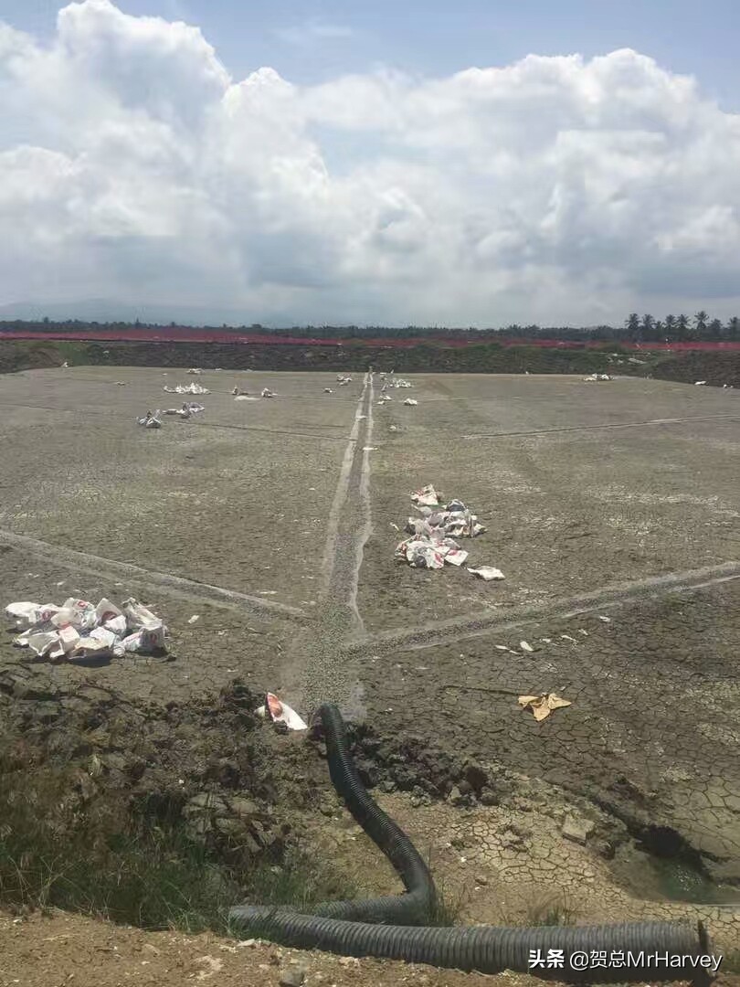 广东养虾池曝气增氧机设备靠谱,菲律宾养殖小龙虾