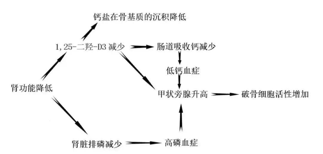 功能医学|报告秦始皇：我找到了青春延长线的秘诀！