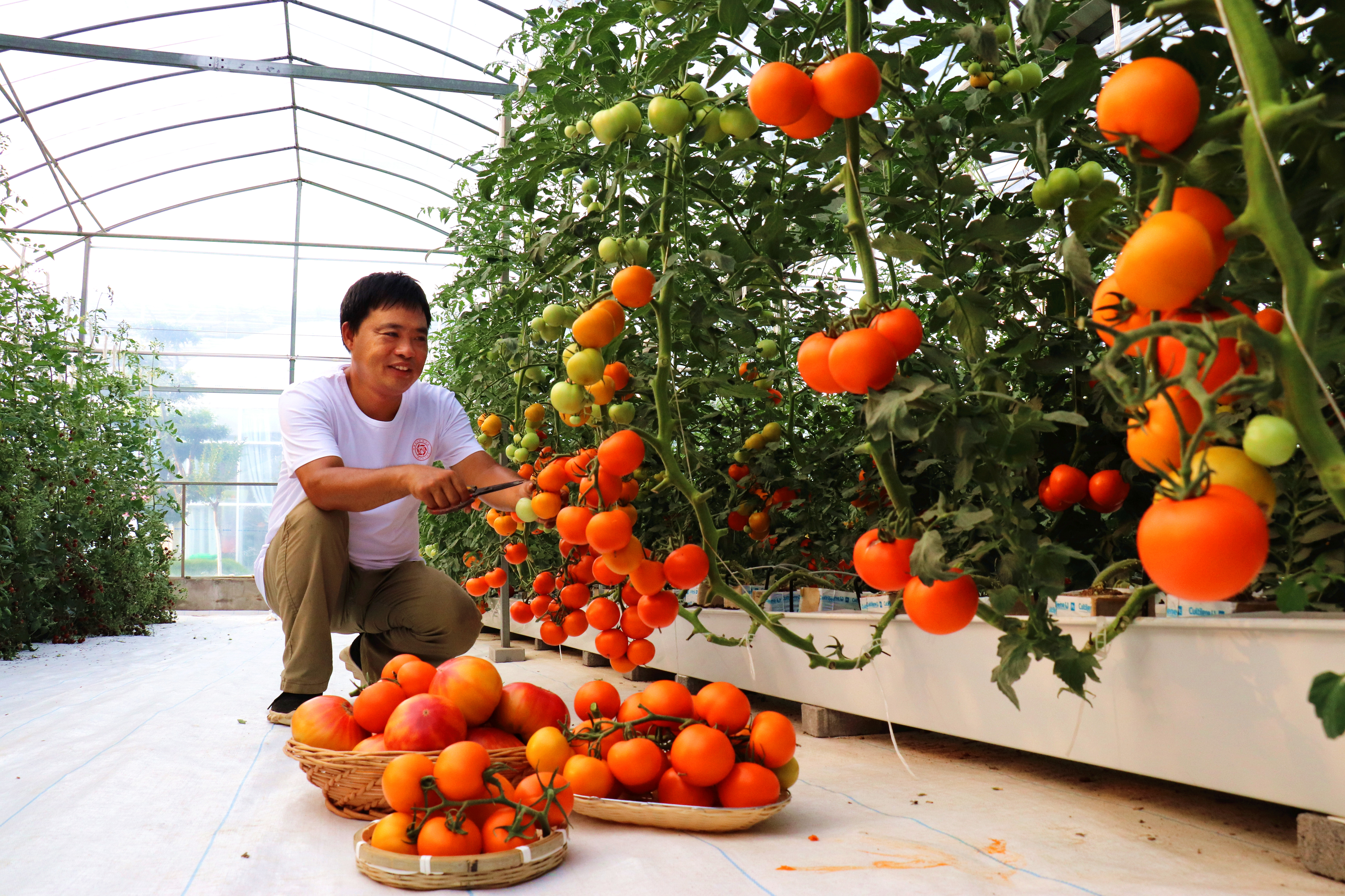 遍看桐丘春潮暖——扶沟县脱贫攻坚完美收官